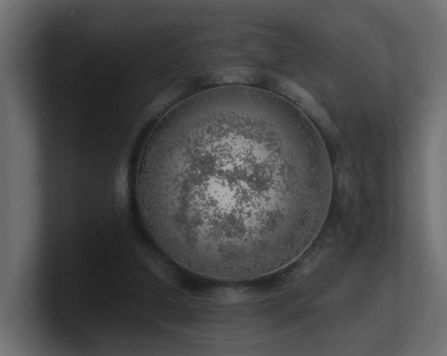 X0000100930250200806241411