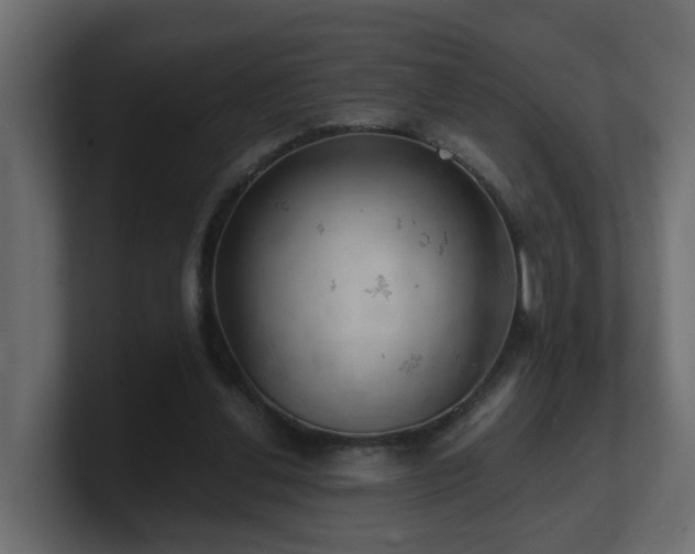 X0000100930252200806241411