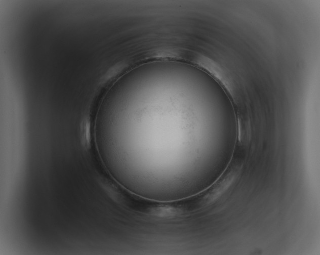 X0000100930253200806241411