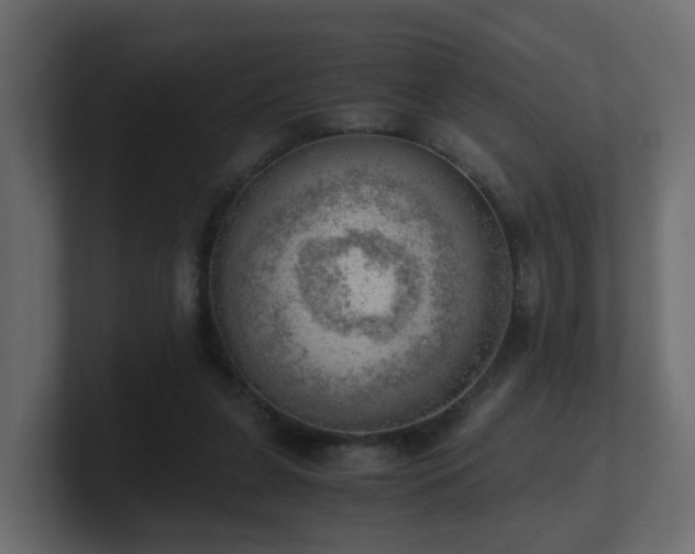 X0000100930255200806241411