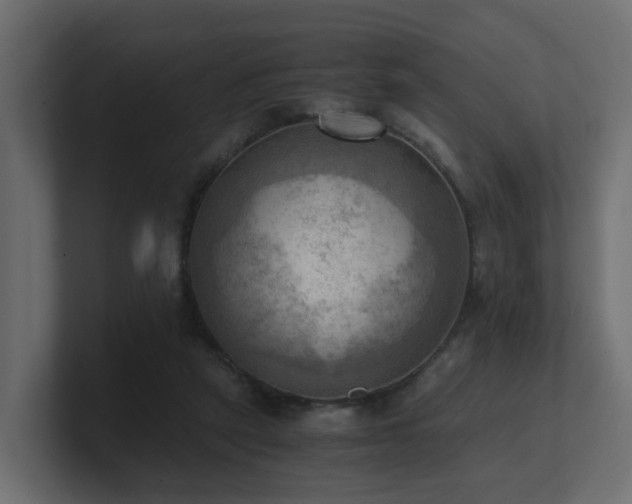 X0000100930257200806241411