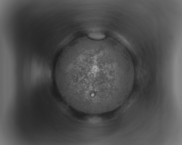 X0000100930258200806241411