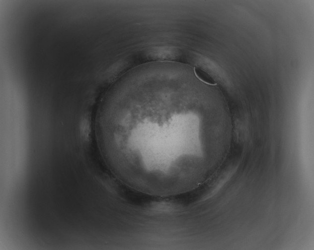 X0000100930259200806241411