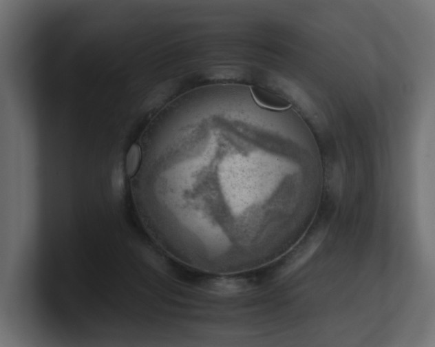 X0000100930261200806241412