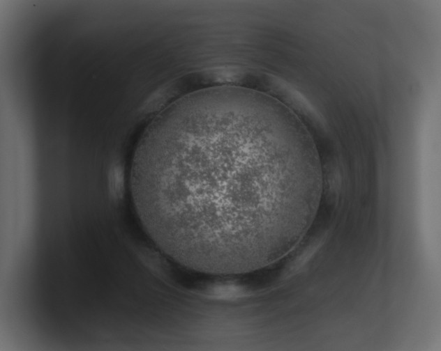 X0000100930262200806241412