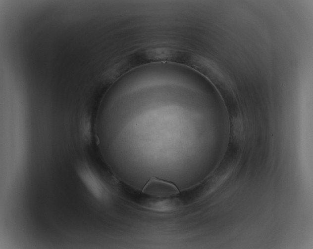 X0000100930267200806241412