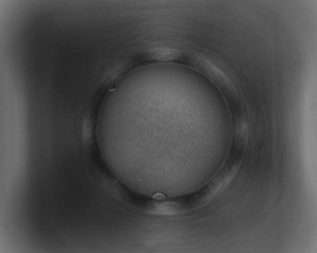 X0000100930268200806241412