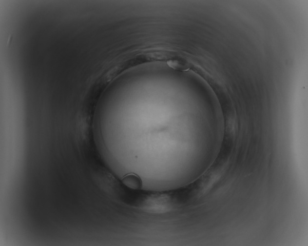 X0000100930271200806241412