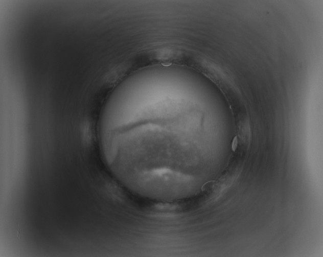 X0000100930272200806241412