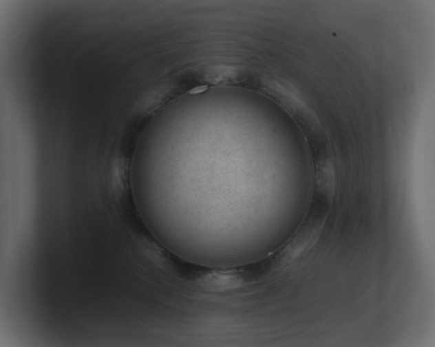 X0000100930280200806241412