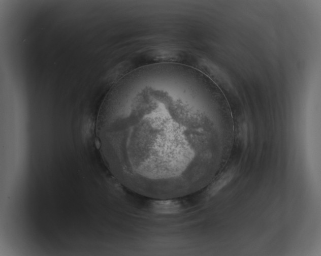 X0000100930281200806241412