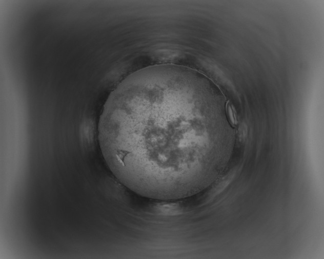 X0000100930283200806241412