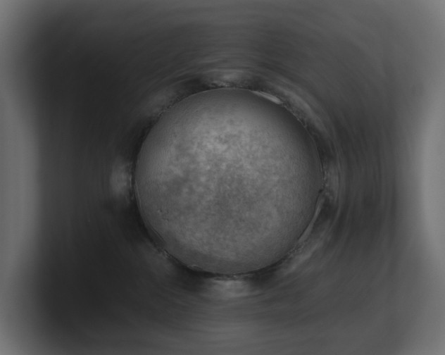 X0000100930284200806241412