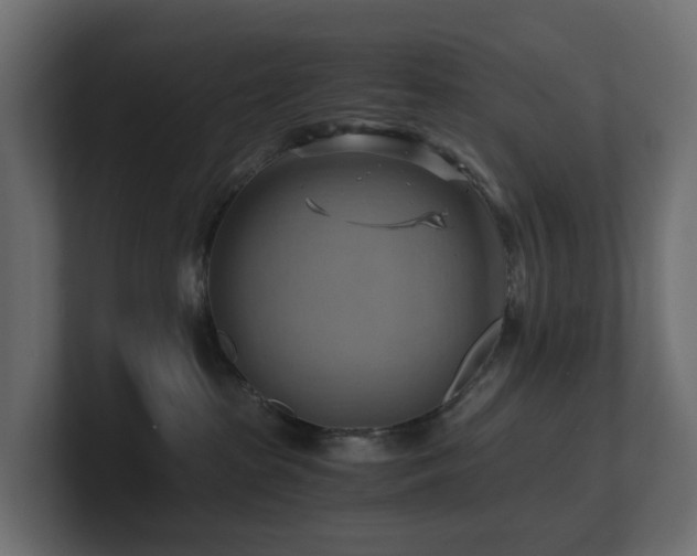 X0000100930285200806241412