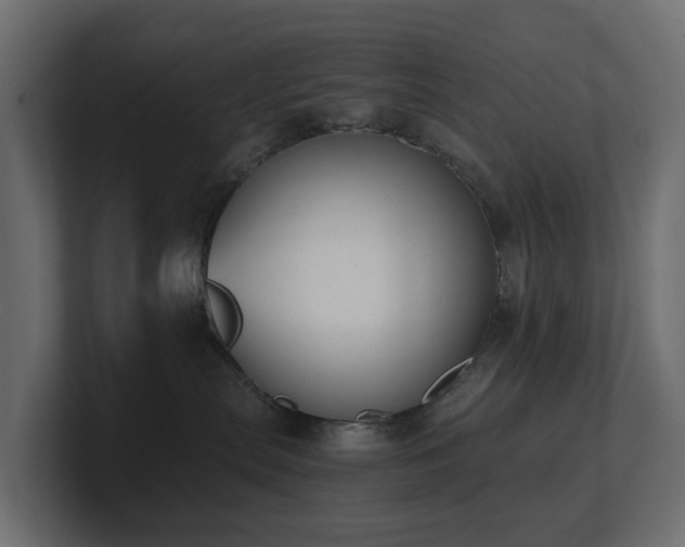 X0000100930287200806241412