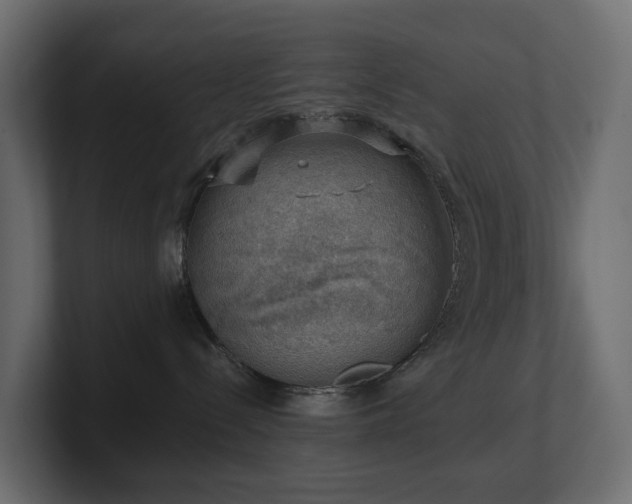 X0000100930288200806241412