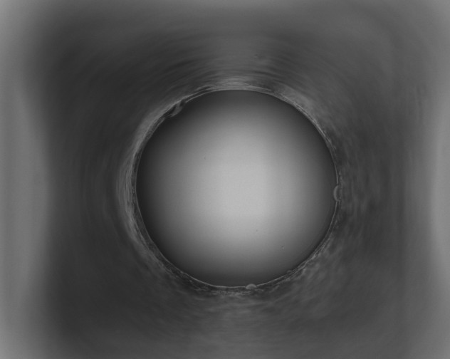 X0000100930289200806241411