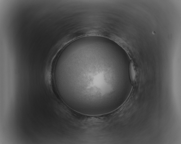 X0000100930290200806241411