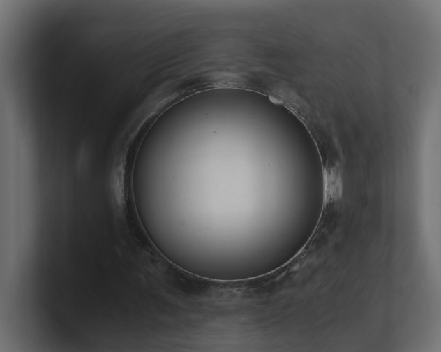 X0000100930291200806241411