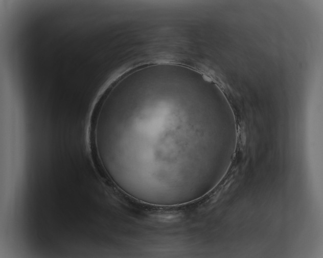 X0000100930292200806241411