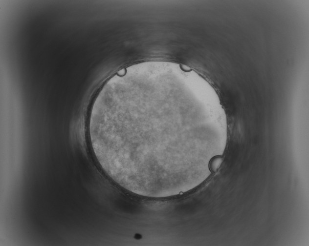 X0000100930293200806241411