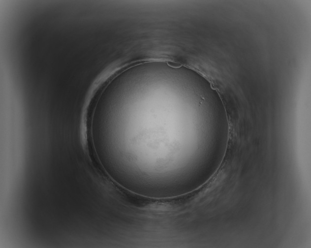 X0000100930294200806241411