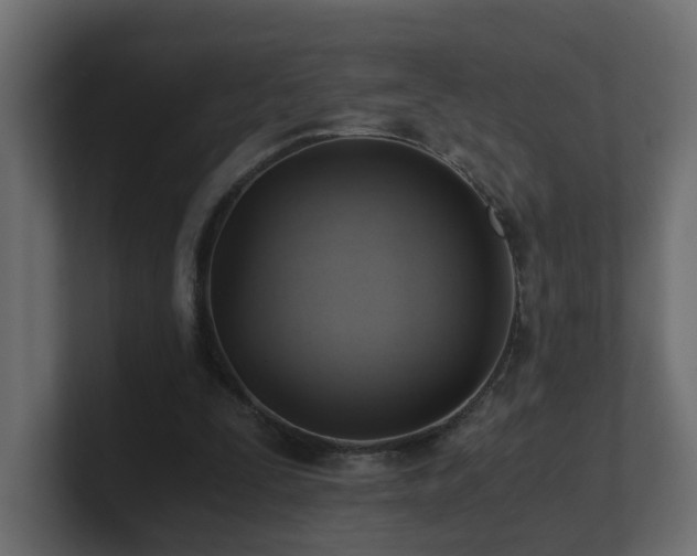 X0000100930295200806241411