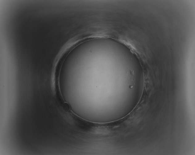 X0000100930296200806241411