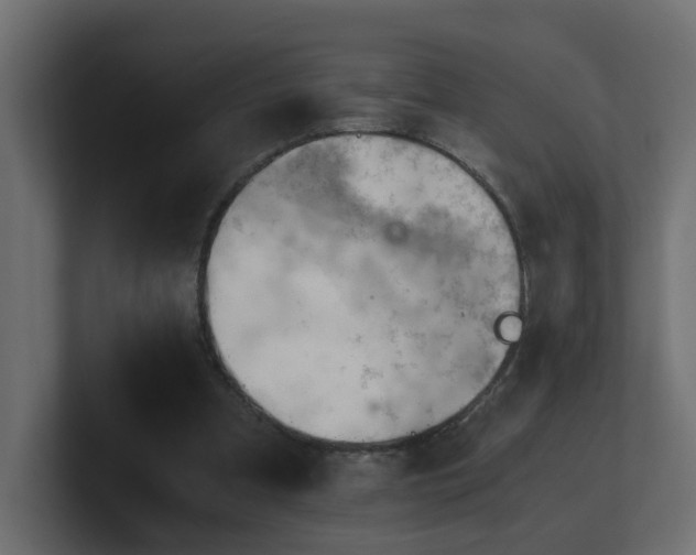 X0000100930297200806241411