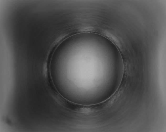 X0000100930298200806241411