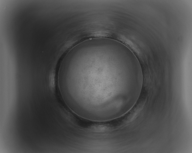 X0000100930299200806241411