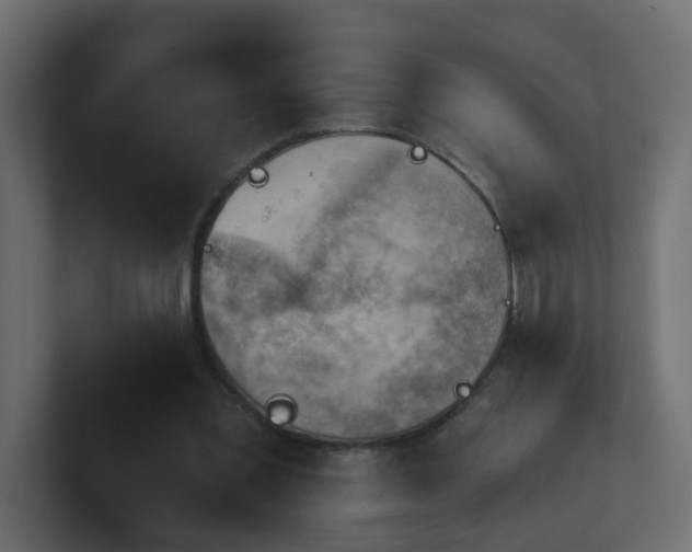 X0000100930301200806241411