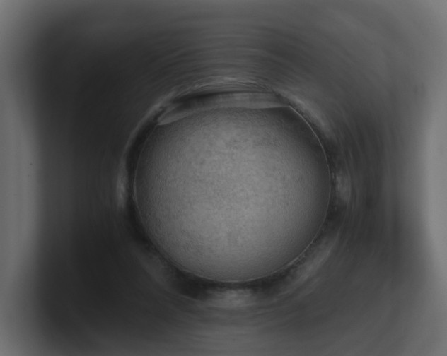 X0000100930304200806241411