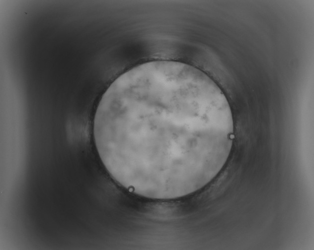 X0000100930305200806241411