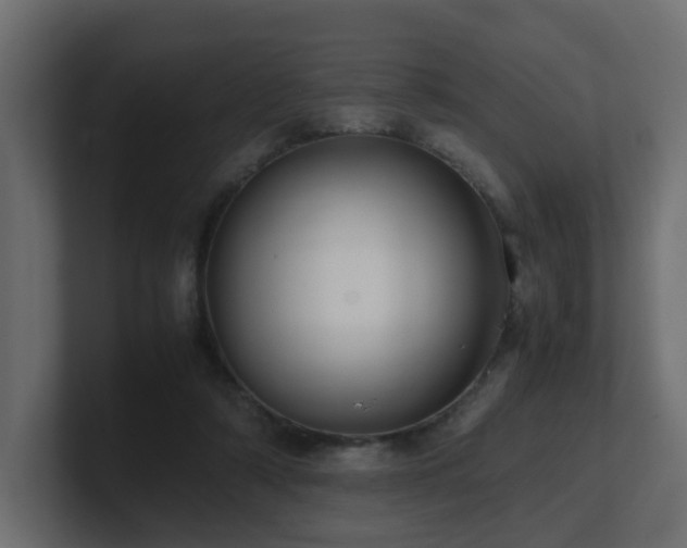 X0000100930306200806241411