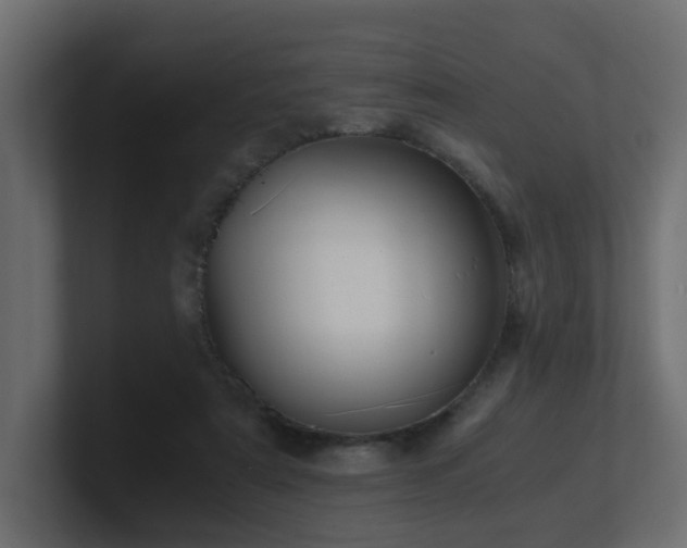 X0000100930307200806241411