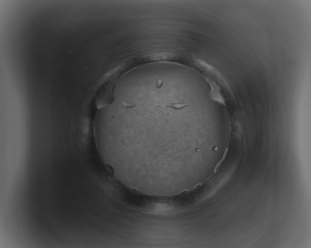 X0000100930308200806241411