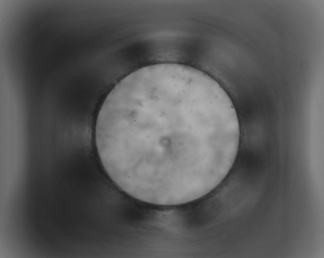 X0000100930309200806241411