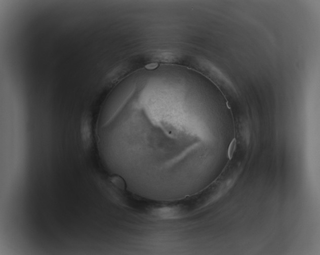 X0000100930312200806241411