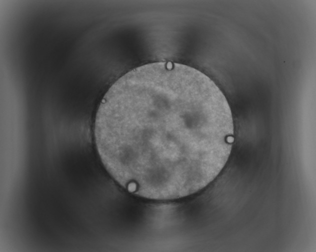 X0000100930313200806241411