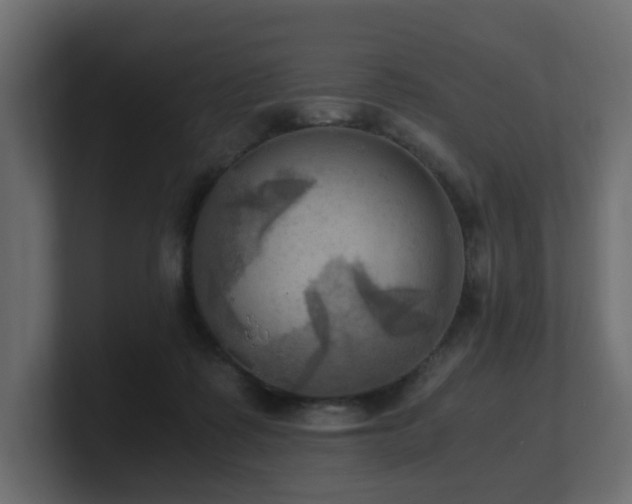 X0000100930315200806241411