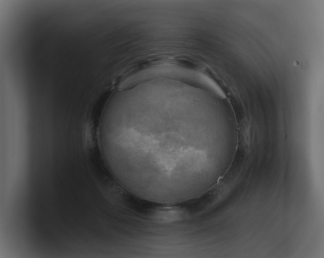 X0000100930316200806241411