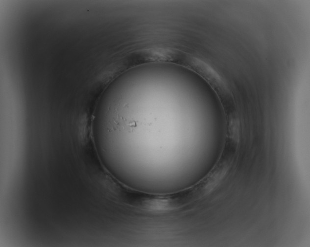 X0000100930318200806241411