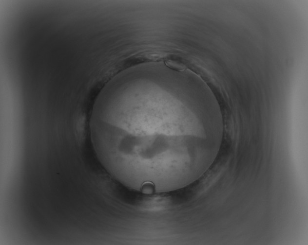 X0000100930319200806241411