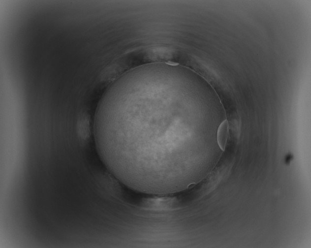 X0000100930323200806241411