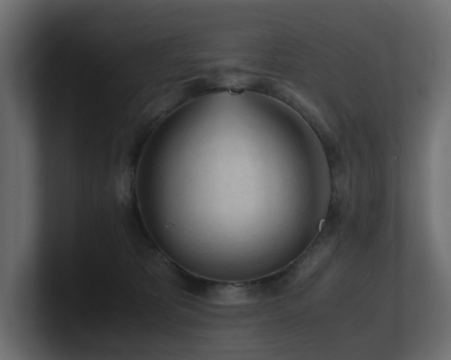 X0000100930325200806241411