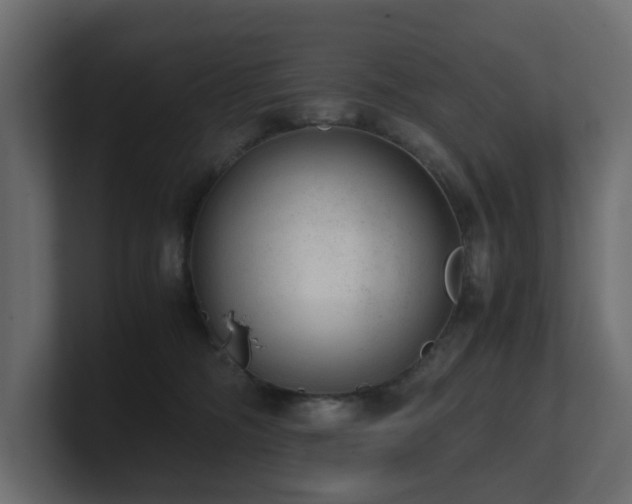 X0000100930326200806241411