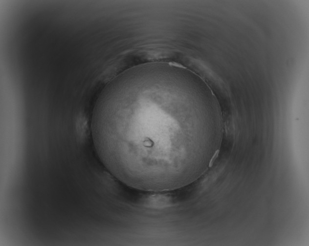 X0000100930327200806241411