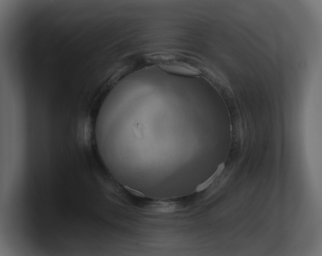 X0000100930328200806241411