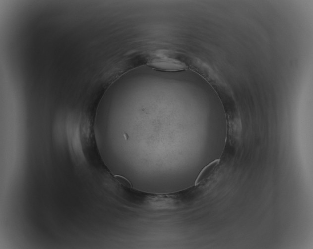 X0000100930331200806241411